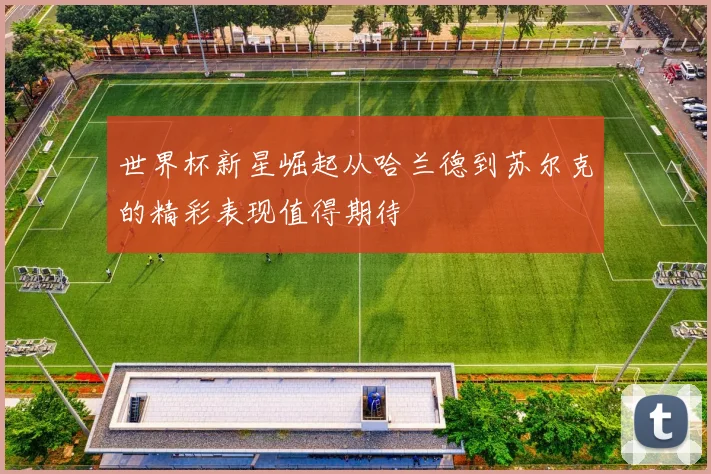 世界杯新星崛起从哈兰德到苏尔克的精彩表现值得期待